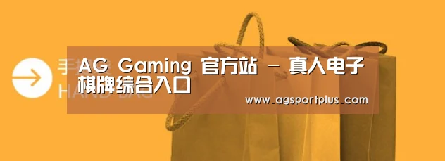 手提袋