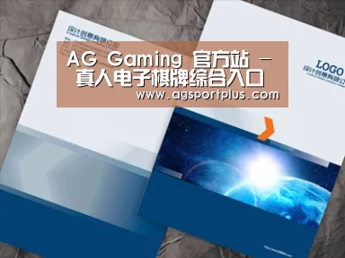 项目名称十