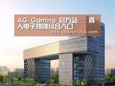 案例展示四