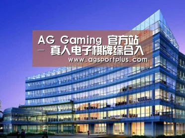 案例展示五