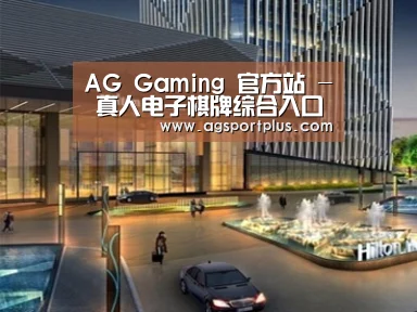 案例展示二