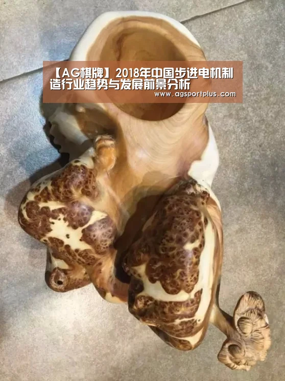 【AG棋牌】2018年中国步进电机制造行业趋势与发展前景分析(图2) AG入口