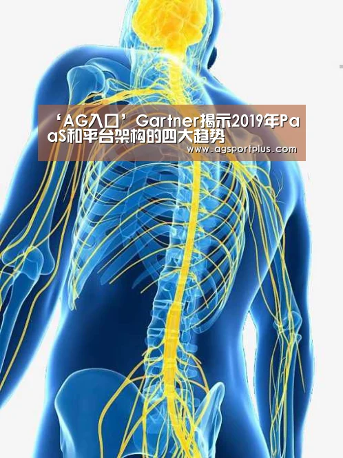 ‘AG入口’Gartner揭示2019年PaaS和平台架构的四大趋势(图1) AG棋牌