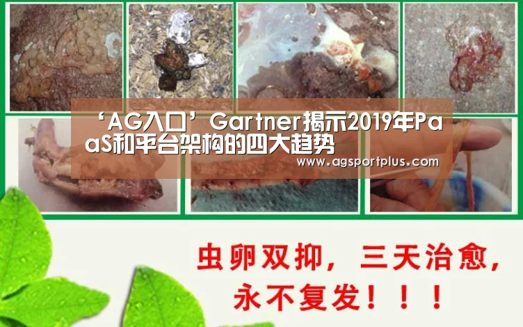 ‘AG入口’Gartner揭示2019年PaaS和平台架构的四大趋势(图2) AG入口