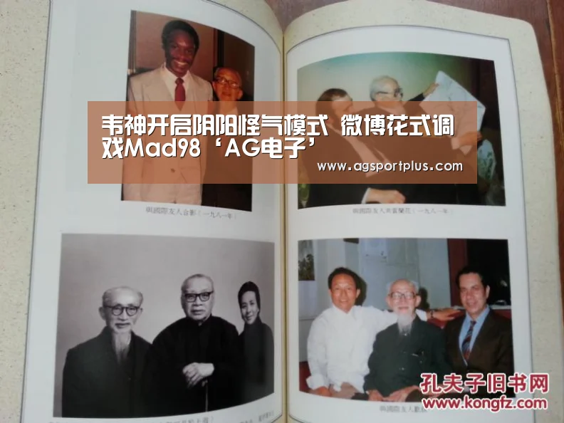 韦神开启阴阳怪气模式 微博花式调戏Mad98‘AG电子’(图3) AG入口