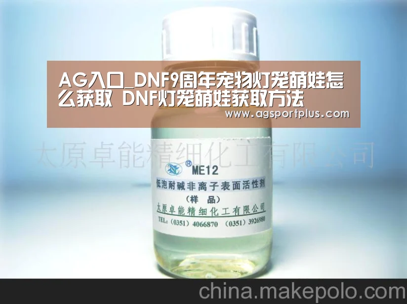 AG入口_DNF9周年宠物灯笼萌娃怎么获取 DNF灯笼萌娃获取方法(图1) AG电子