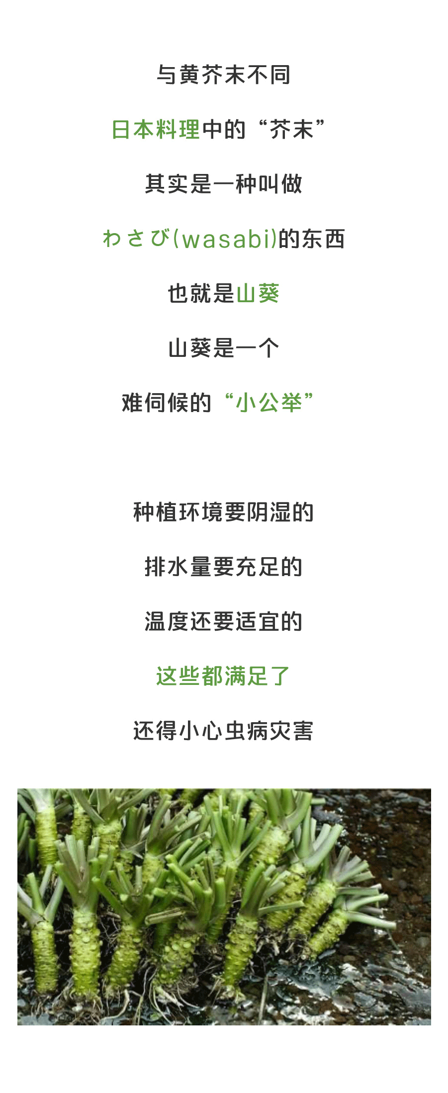 AG棋牌|荒野行动刷车地点 荒野行动刷车位置分享(图1) AG棋牌|荒野行动刷车地点 荒野行动刷车位置分享(图1)