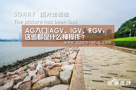 AG入口|AGV、IGV、RGV,这些都是什么神操作?(图4) AG电子