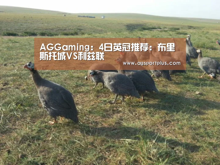 AGGaming：4日英冠推荐：布里斯托城VS利兹联(图3)